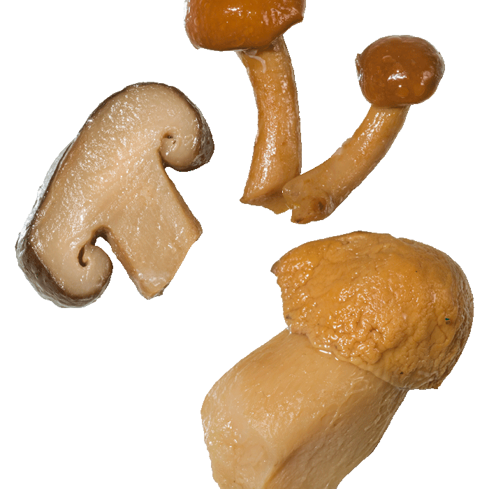 funghi-misti-trifolati-i-fuori-di-busta