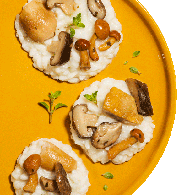funghi-piatti-ricette-i-fuori-di-busta-desktop