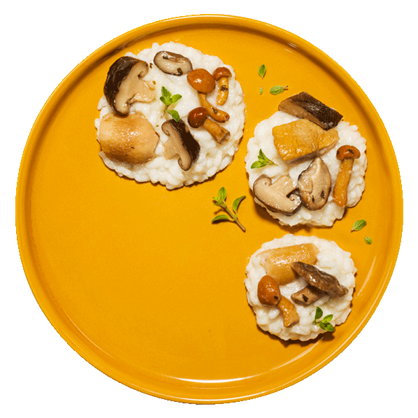 funghi-piatti-ricette-i-fuori-di-busta-mobile