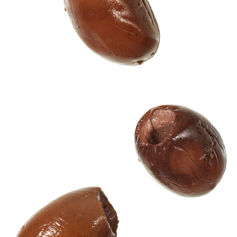 olive-leccino-denocciolate-i-fuori-di-busta